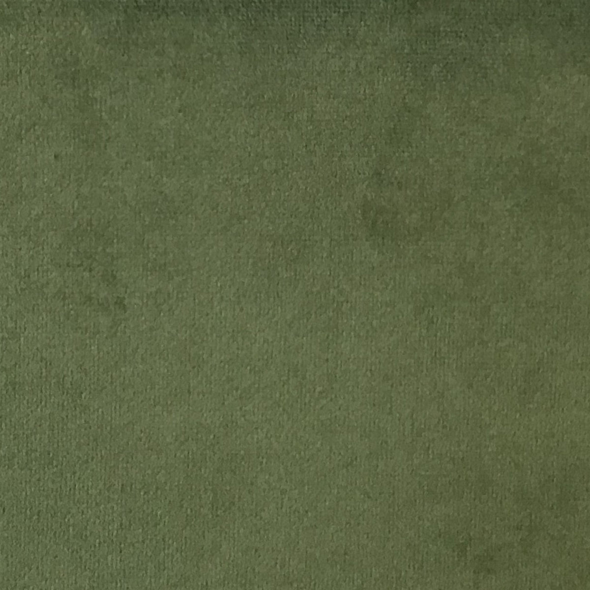 Schumacher Hospitality Venus Velvet Moss Fabric