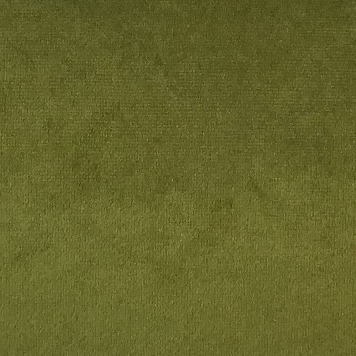 Schumacher Hospitality Venus Velvet Celadon Fabric