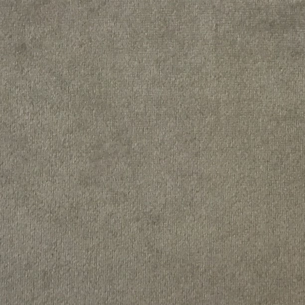 Schumacher Hospitality Venus Velvet Smoke Fabric