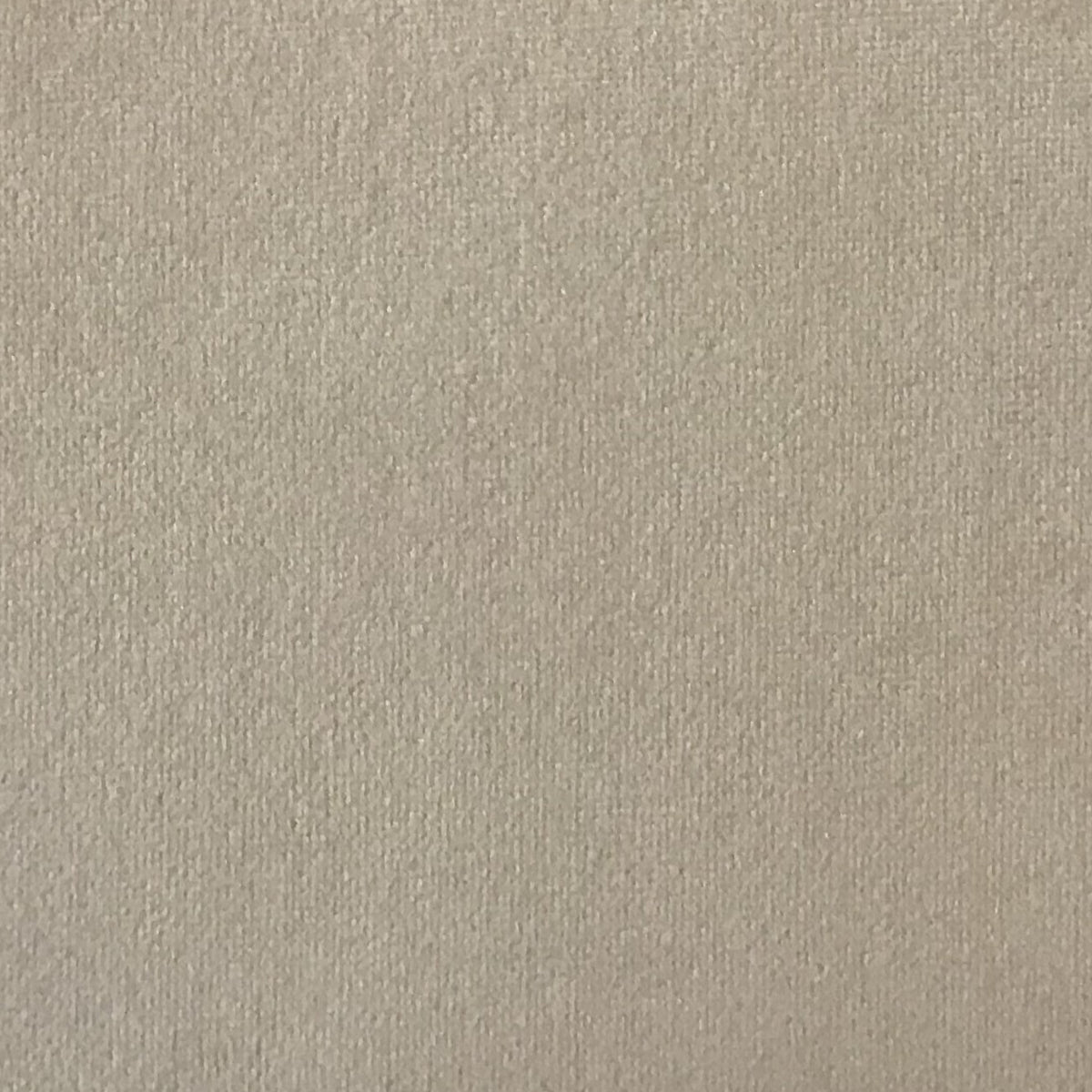 Schumacher Hospitality Venus Velvet Crème Fabric