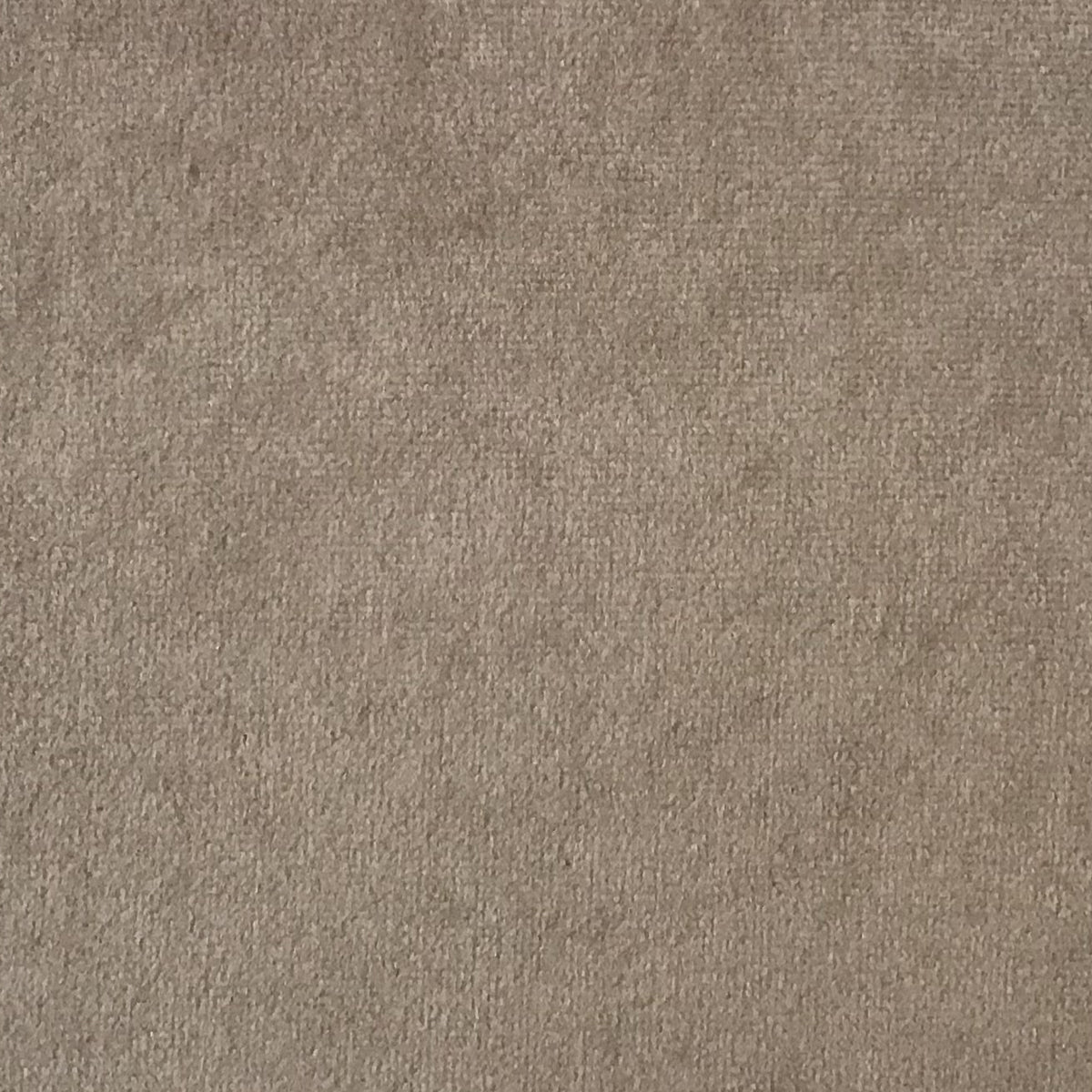 Schumacher Hospitality Venus Velvet Fawna Fabric