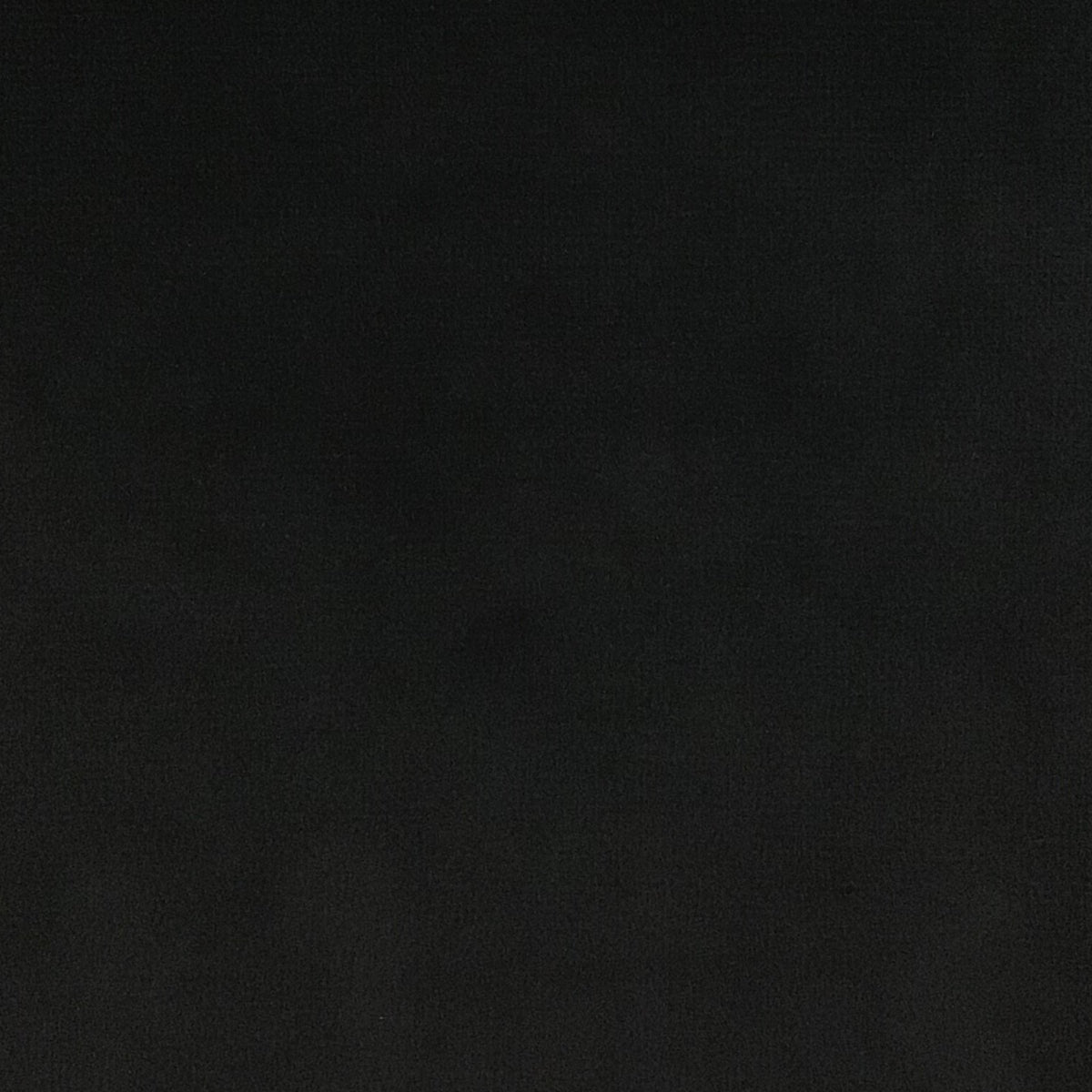 Schumacher Hospitality Venus Velvet Coal Fabric