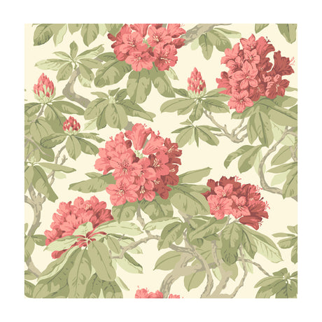 COLE & SON 99/4020.CS.0 BOURLIE CORAL Wallpaper - Eade's Wallpaper