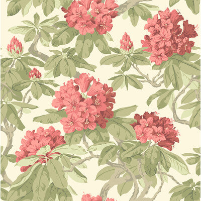 COLE & SON 99/4020.CS.0 BOURLIE CORAL Wallpaper - Eade's Wallpaper