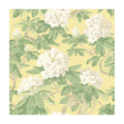 COLE & SON 99/4021.CS.0 BOURLIE PALE LEMON Wallpaper - Eade's Wallpaper