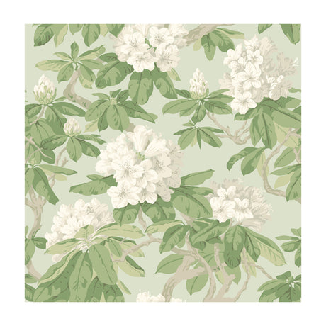 COLE & SON 99/4022.CS.0 BOURLIE DUCK EGG Wallpaper - Eade's Wallpaper