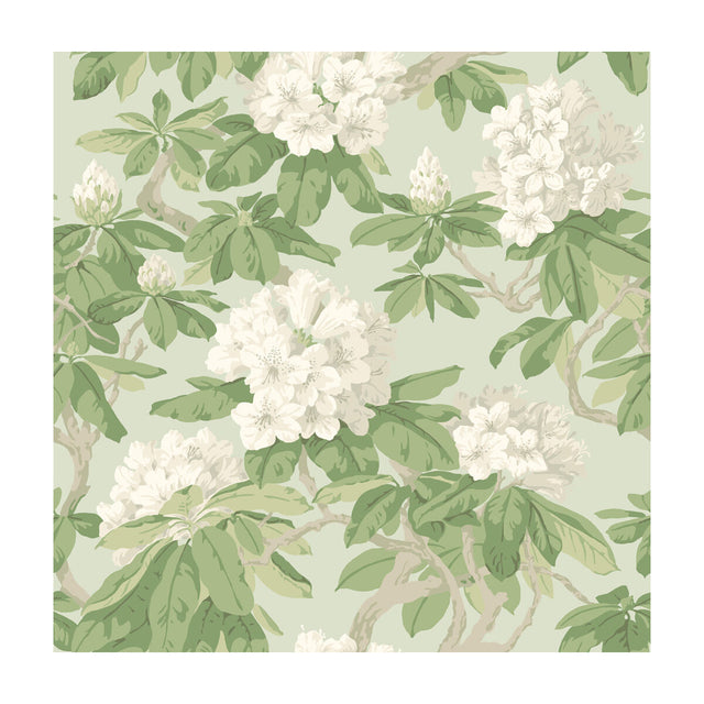COLE & SON 99/4022.CS.0 BOURLIE DUCK EGG Wallpaper - Eade's Wallpaper