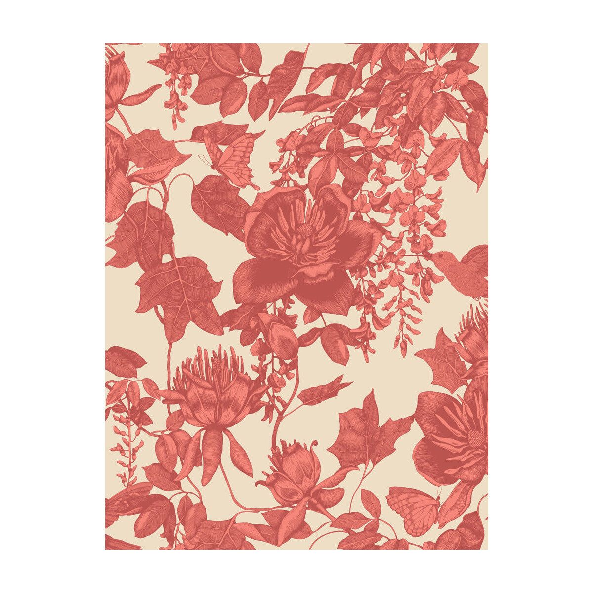 COLE & SON 99/7033.CS.0 TIVOLI CORAL Wallpaper - Eade's Wallpaper
