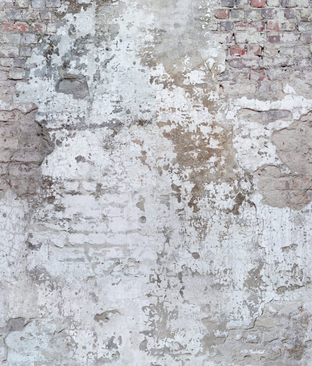 Galerie Orom II Photographic Motive White Mural A42301