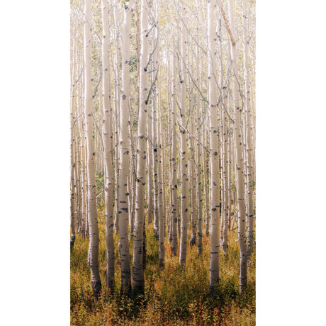 Galerie Orom II Trees all-over Gold Mural A42601