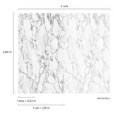 Galerie Orom II Marble Plain White Mural A52501