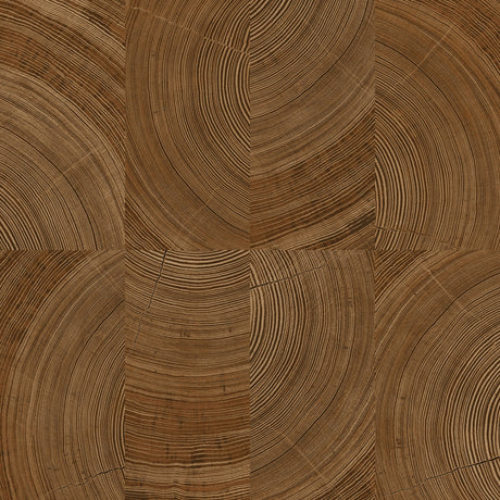Galerie Karuna Photographic Motive Brown Wallpaper KRA69101