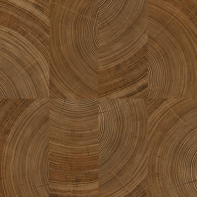 Galerie Karuna Photographic Motive Brown Wallpaper KRA69101