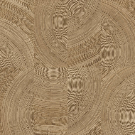 Galerie Karuna Photographic Motive Brown Wallpaper KRA69102