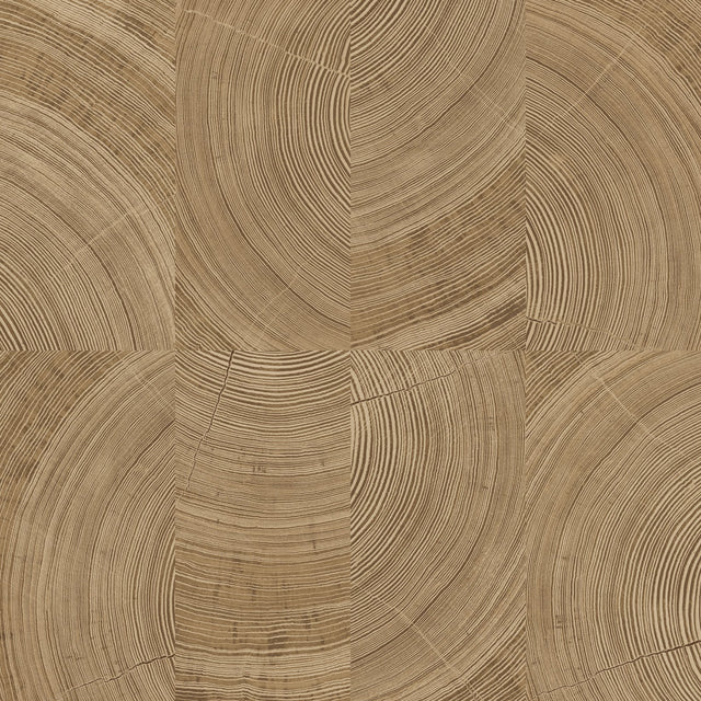 Galerie Karuna Photographic Motive Brown Wallpaper KRA69102