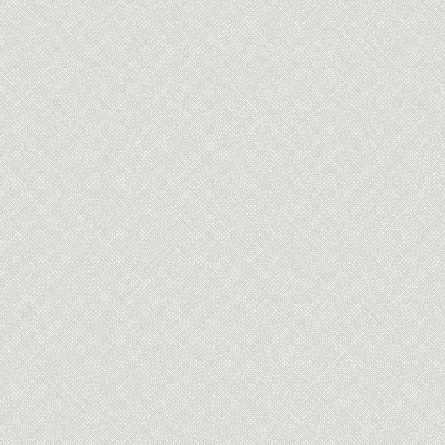 Galerie Arcadia Textile Plain Grey Wallpaper ARA70801