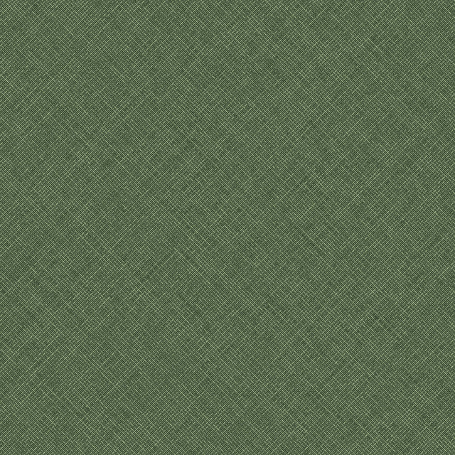 Galerie Arcadia Textile Plain Green Wallpaper ARA70802