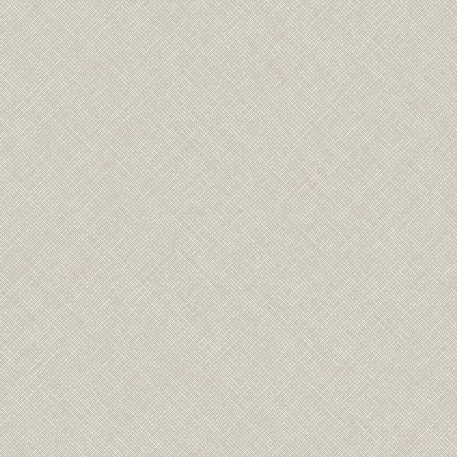 Galerie Arcadia Textile Plain Grey Wallpaper ARA70803