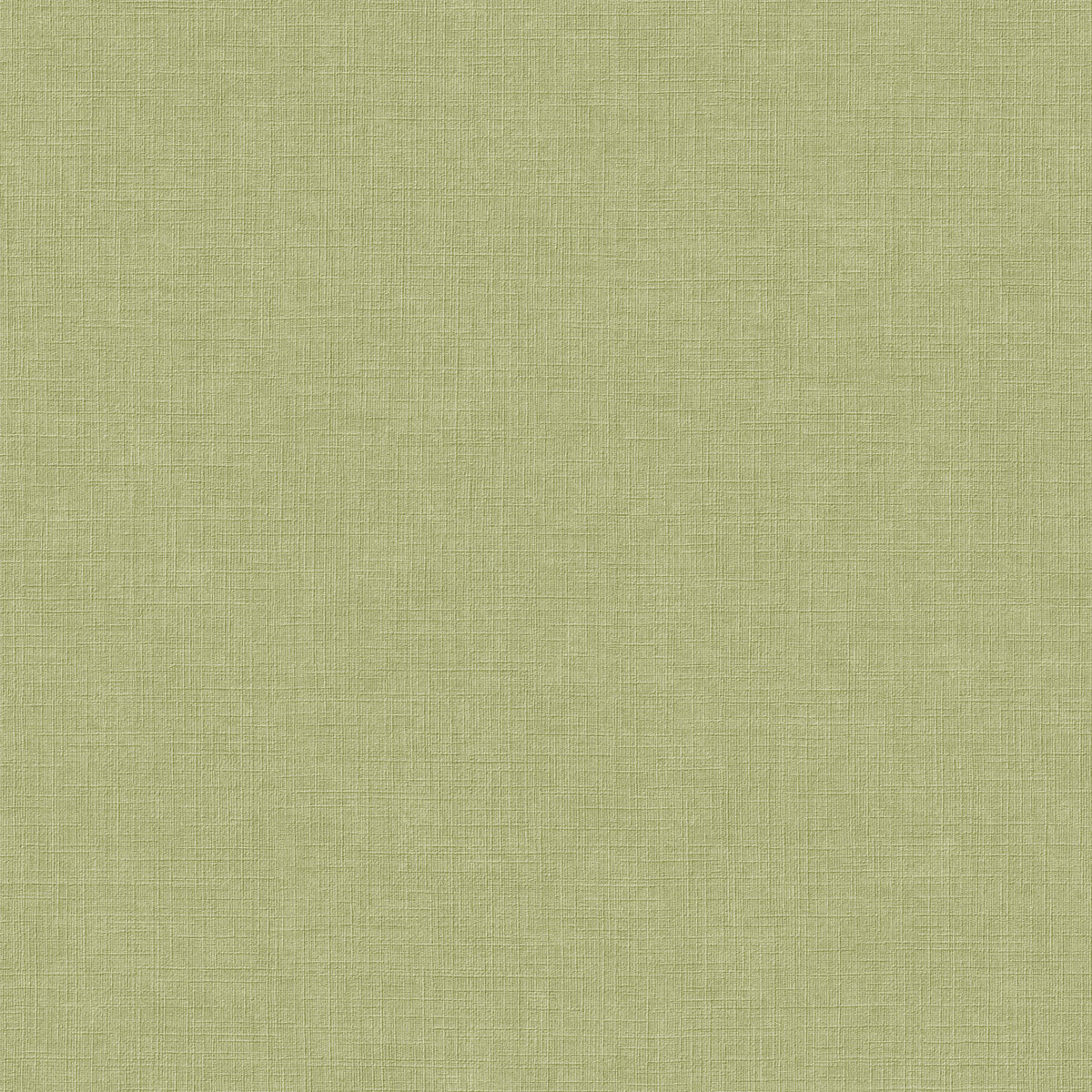 Galerie Inia Textile Plain Green Wallpaper INA71007