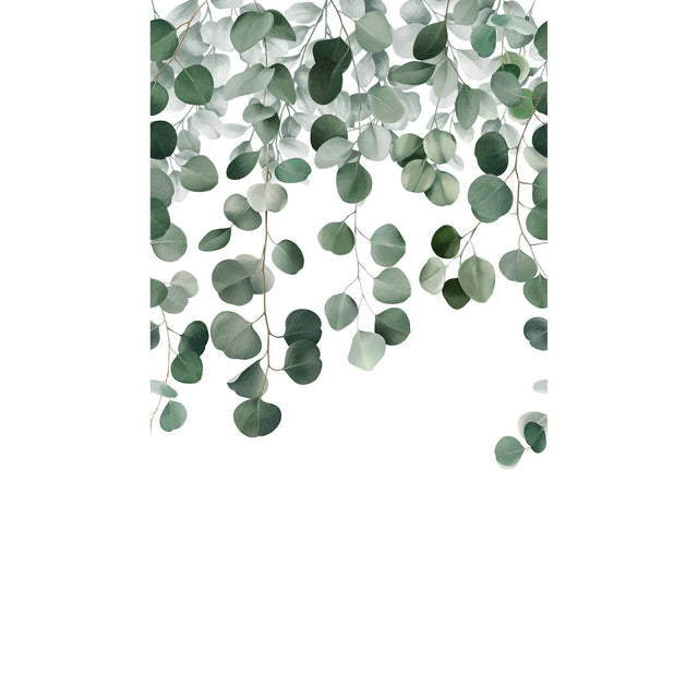 Galerie Orom II Photographic All-over Print Green Mural A732