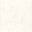 Galerie Textured Vibes Authentic Plaster Plain Cream Wallpap