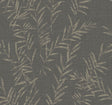 Antonina Vella AB3061 Allerton Bamboo Black Wallpaper - Eade's Wallpaper