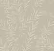 Antonina Vella AB3062 Allerton Bamboo Taupe Wallpaper - Eade's Wallpaper
