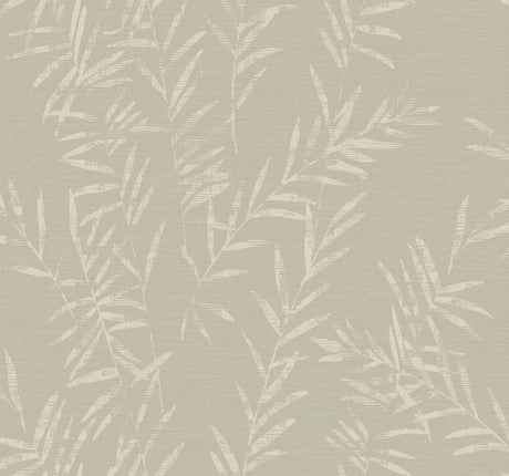 Antonina Vella AB3062 Allerton Bamboo Taupe Wallpaper - Eade's Wallpaper