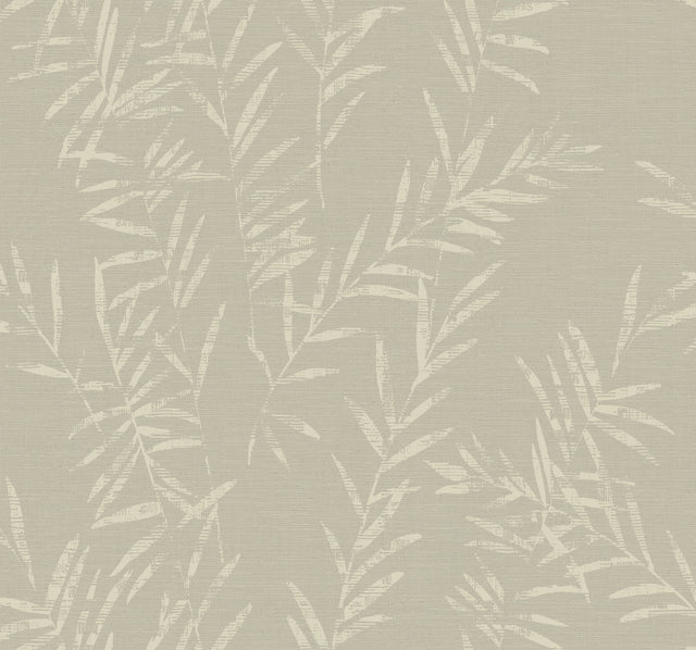 Antonina Vella AB3062 Allerton Bamboo Taupe Wallpaper - Eade's Wallpaper