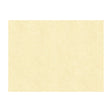 KRAVET CONTRACT ABILENE.1.0 ABILENE FOSSIL Fabric - Eade's Wallpaper