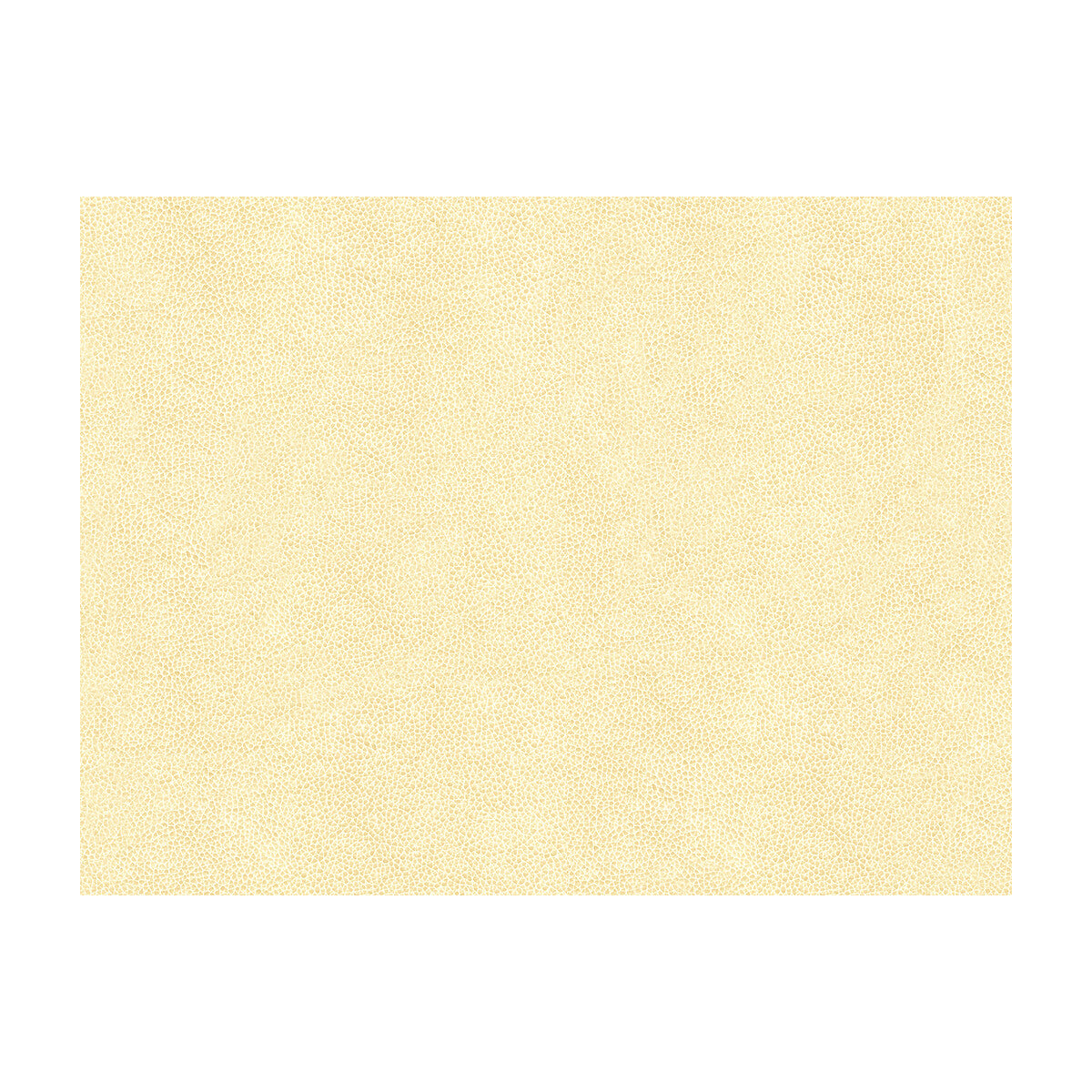 KRAVET CONTRACT ABILENE.1.0 ABILENE FOSSIL Fabric - Eade's Wallpaper