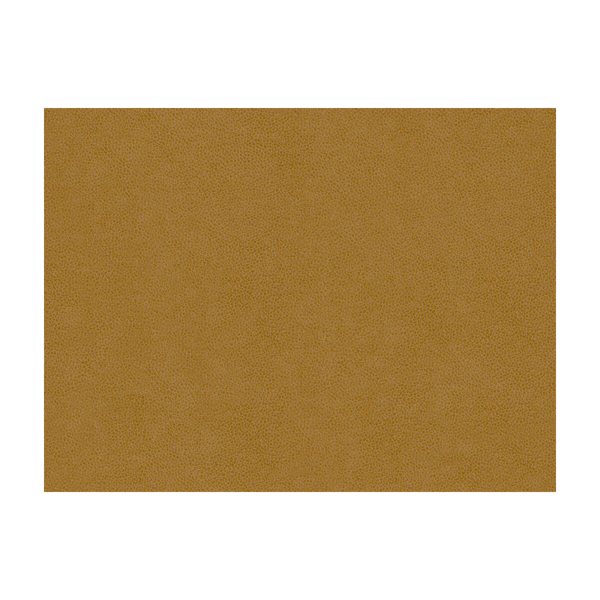 KRAVET CONTRACT ABILENE.116.0 ABILENE SADDLE Fabric - Eade's Wallpaper