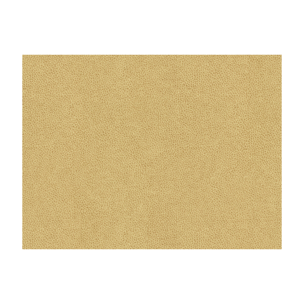 KRAVET CONTRACT ABILENE.16.0 ABILENE DUNE Fabric - Eade's Wallpaper