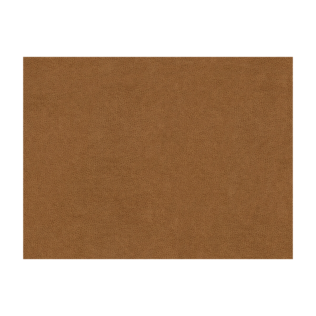 KRAVET CONTRACT ABILENE.1616.0 ABILENE BISCUIT Fabric - Eade's Wallpaper