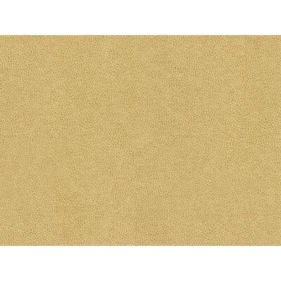 KRAVET CONTRACT ABILENE.16.0 ABILENE DUNE Fabric - Eade's Wallpaper