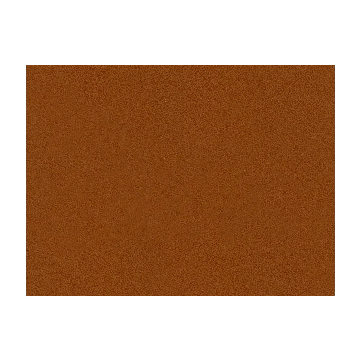 KRAVET CONTRACT ABILENE.24.0 ABILENE PENNY Fabric - Eade's Wallpaper