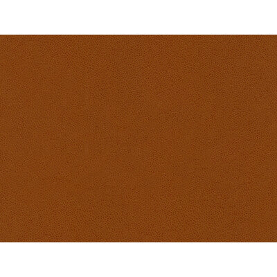 KRAVET CONTRACT ABILENE.24.0 ABILENE PENNY Fabric - Eade's Wallpaper