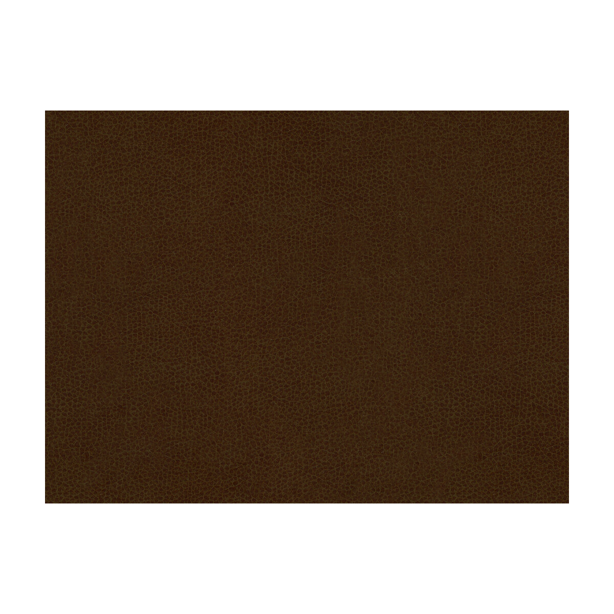 KRAVET CONTRACT ABILENE.6.0 ABILENE COCOA Fabric - Eade's Wallpaper