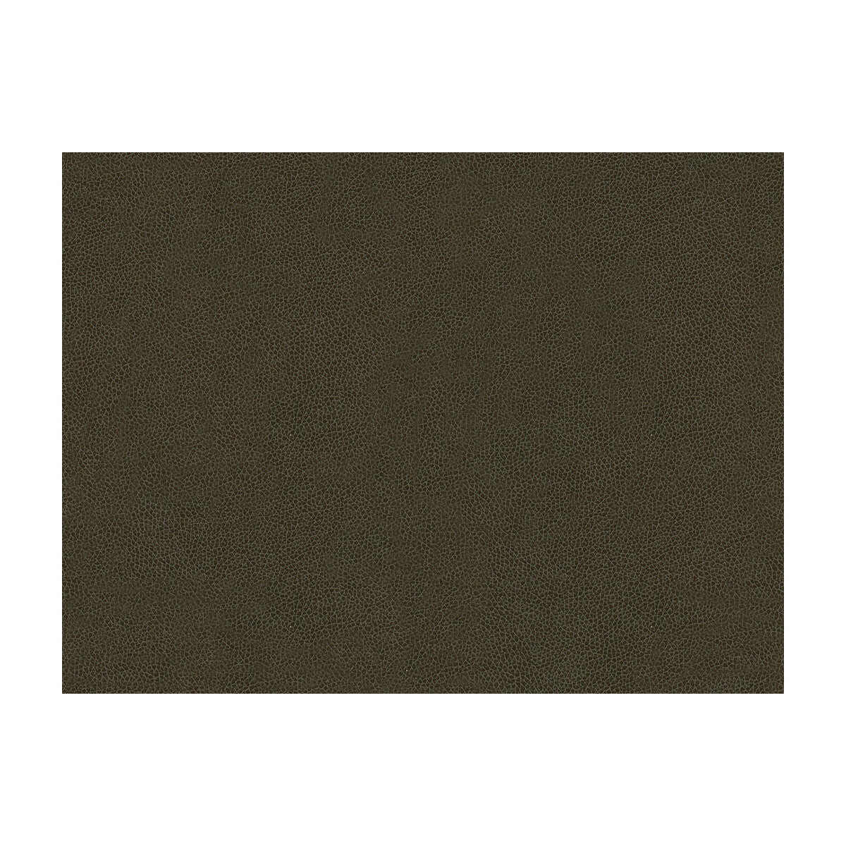 KRAVET CONTRACT ABILENE.66.0 ABILENE STALLION Fabric - Eade's Wallpaper