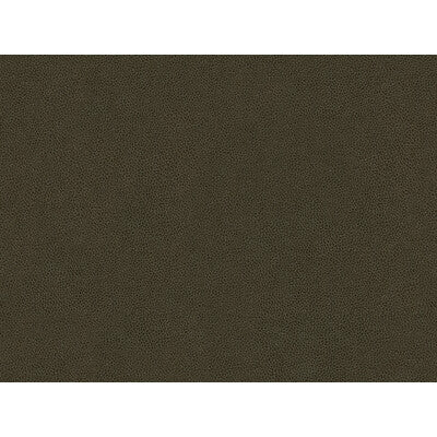 KRAVET CONTRACT ABILENE.66.0 ABILENE STALLION Fabric - Eade's Wallpaper