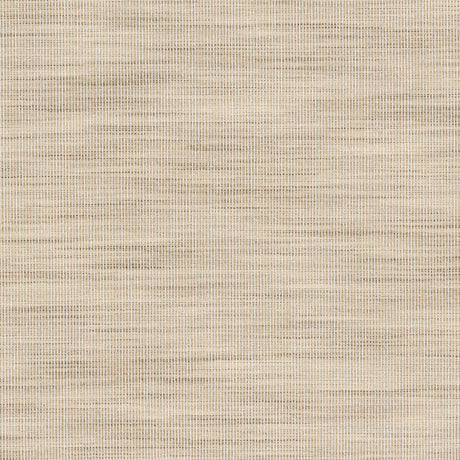 STOUT ADAI-2 ADAIR 2 RAFFIA Fabric - Eades Wallpaper & Fabric