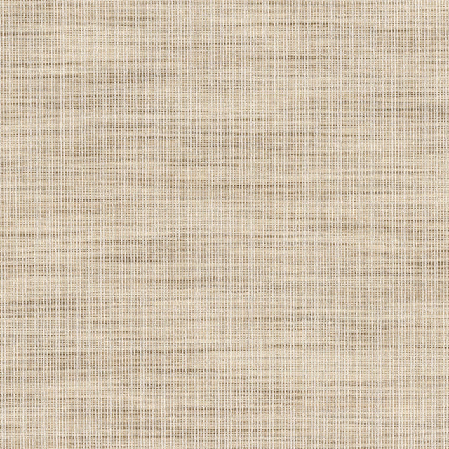 STOUT ADAI-2 ADAIR 2 RAFFIA Fabric - Eades Wallpaper & Fabric