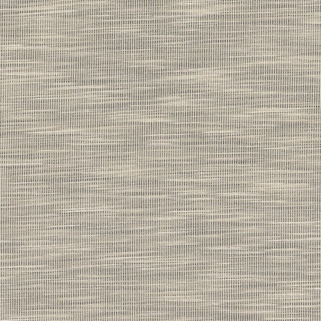 STOUT ADAI-3 ADAIR 3 GRAPHITE Fabric - Eades Wallpaper & Fabric