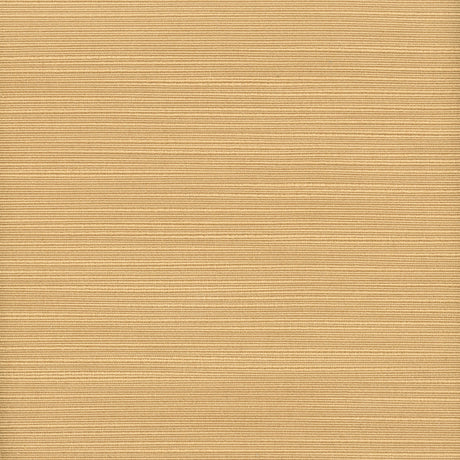 STOUT ADMI-27 ADMIRE 27 LION Fabric - Eades Wallpaper & Fabric