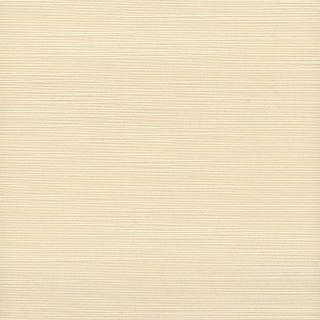 STOUT ADMI-32 ADMIRE 32 CHAMPAGNE Fabric - Eades Wallpaper & Fabric