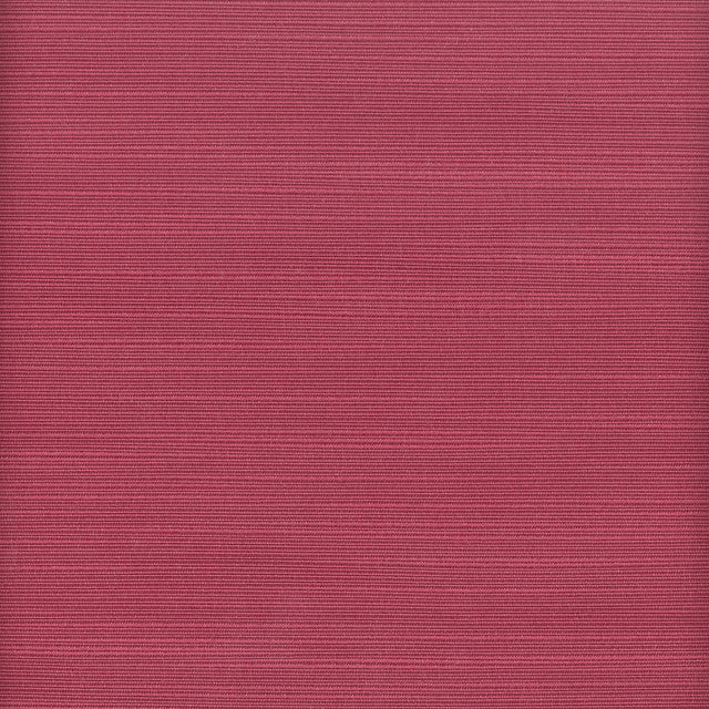 STOUT ADMI-33 ADMIRE 33 BEET Fabric - Eades Wallpaper & Fabric