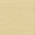 STOUT ADMI-35 ADMIRE 35 CHARDONNAY Fabric - Eades Wallpaper & Fabric
