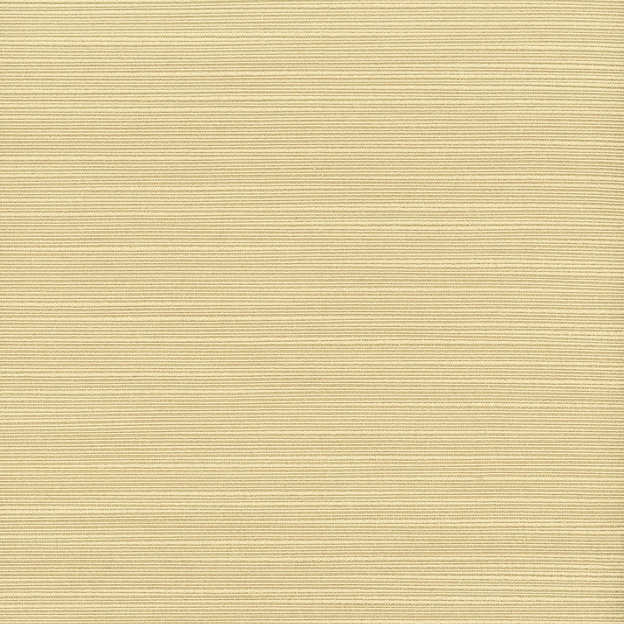 STOUT ADMI-35 ADMIRE 35 CHARDONNAY Fabric - Eades Wallpaper & Fabric