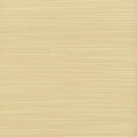STOUT ADMI-35 ADMIRE 35 CHARDONNAY Fabric - Eades Wallpaper & Fabric