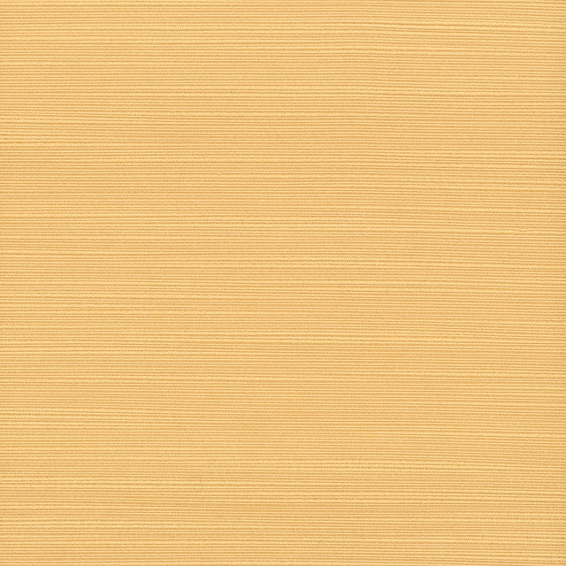 STOUT ADMI-44 ADMIRE 44 BUTTERSCOTCH Fabric - Eades Wallpaper & Fabric